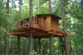 Treehouse v Brdech, Bohutín